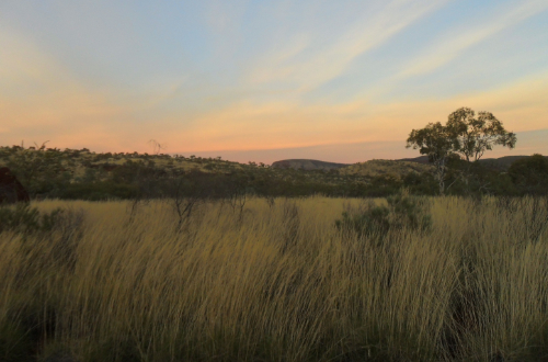 Sunset in outback in Western Australia