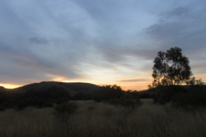 a sunset in the outback in Western Australia