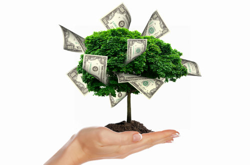 a woman's hand holds up a tiny tree. Bank notes grow out of the tree.