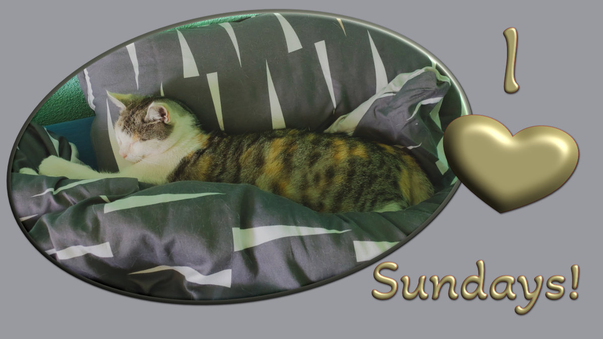 An image inside a beige oval frame shows a cat asleep on a bed. On the right is the inscription 'I [heart] 
          Sundays.' The writing is in dark green 3d letters.