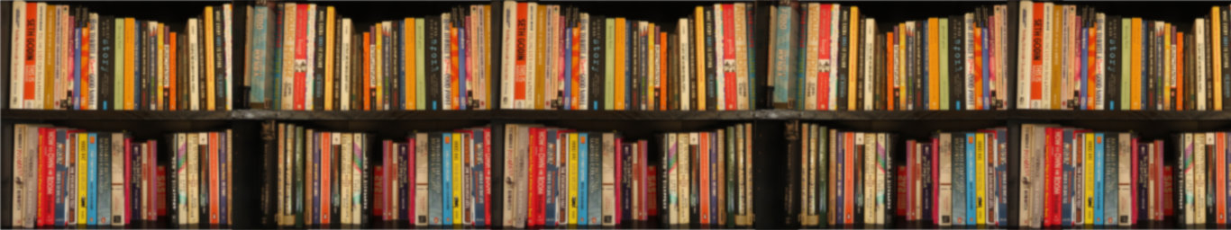 Two shelves filled with books. The image is blurred so the titles are unreadable.