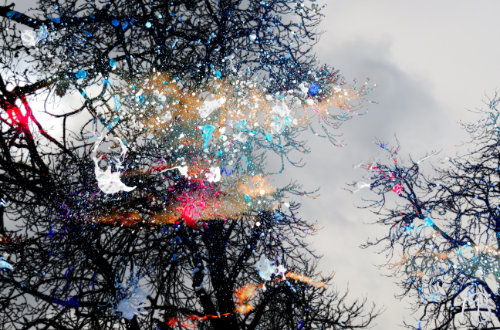 colourful spots fill the outline of a tree in front of a dark blue sky