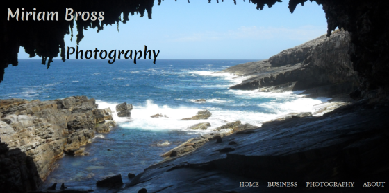 photography site example